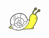 El caracol