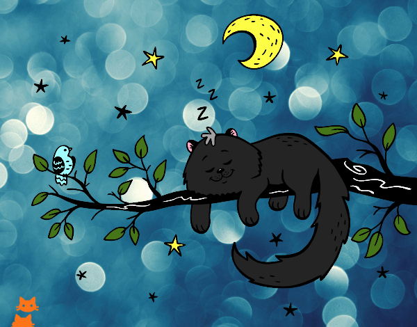 El gato y la luna