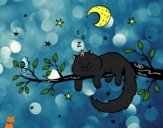 El gato y la luna