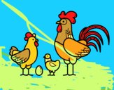 Familia gallina