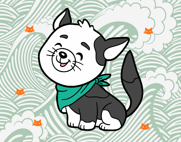 Gato con bandana