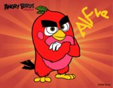 Red de Angry Birds