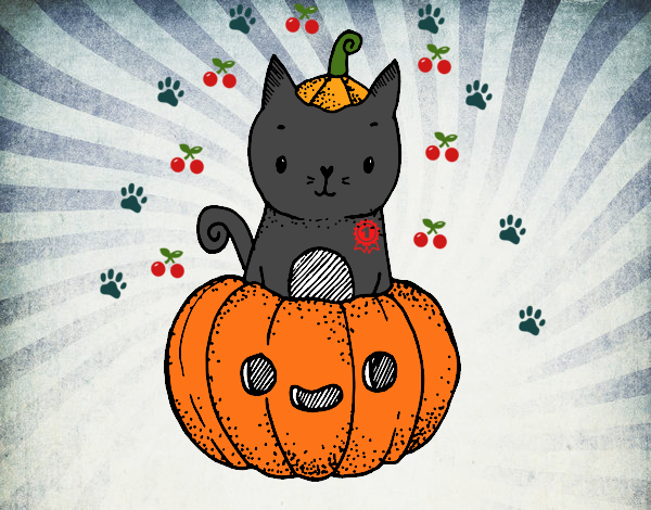 Un gatito de Halloween