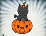 Un gatito de Halloween