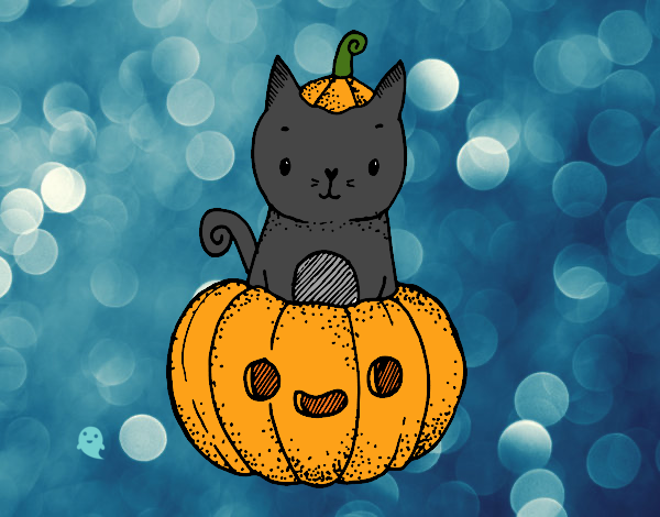 Un gatito de Halloween