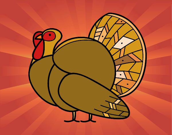 Turkey-Surprise!