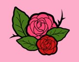 Dos rosas