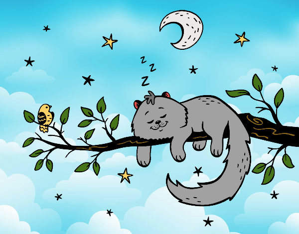 El gato y la luna