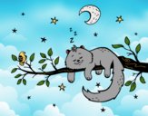 El gato y la luna