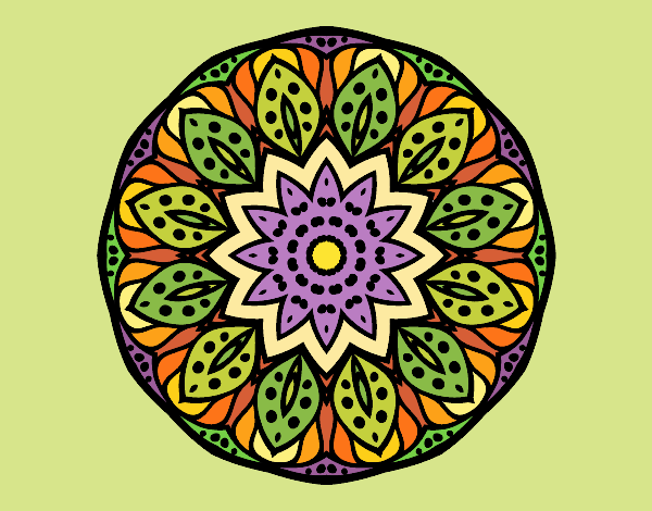 Mandala naturaleza