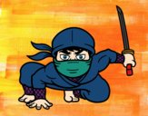 Ninja japonés