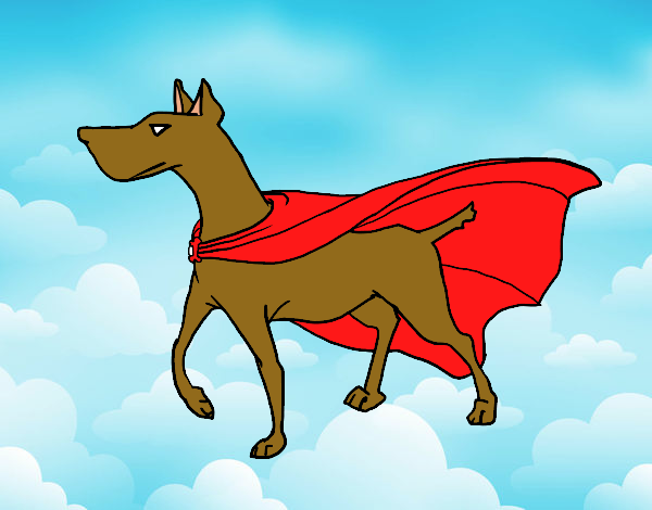 Perro superhéroe