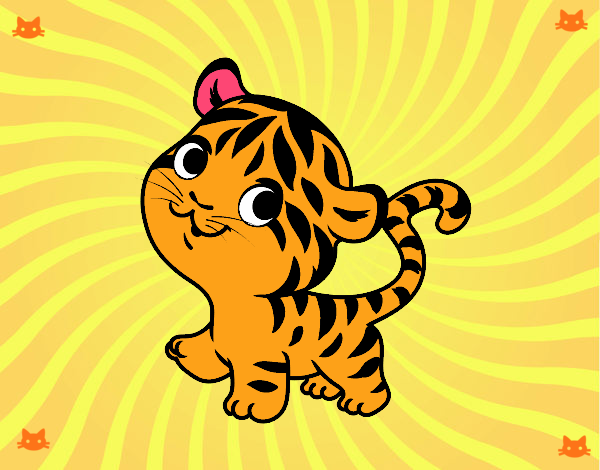 Tigre bebé