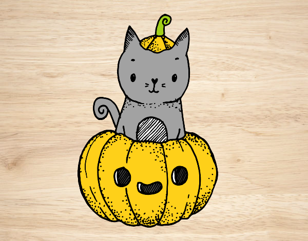 Un gatito de Halloween