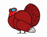 Un pavo