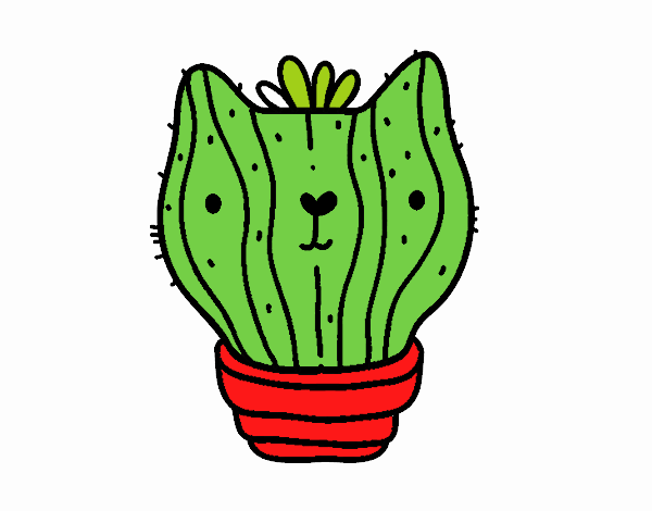 Cactus gato