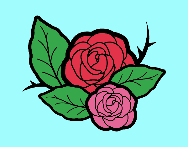 Dos rosas