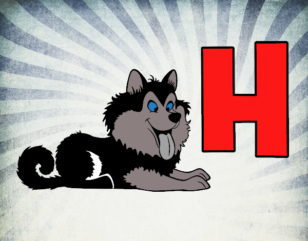 H de Husky