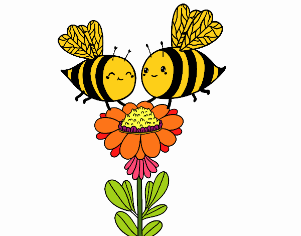 Pareja de abejas