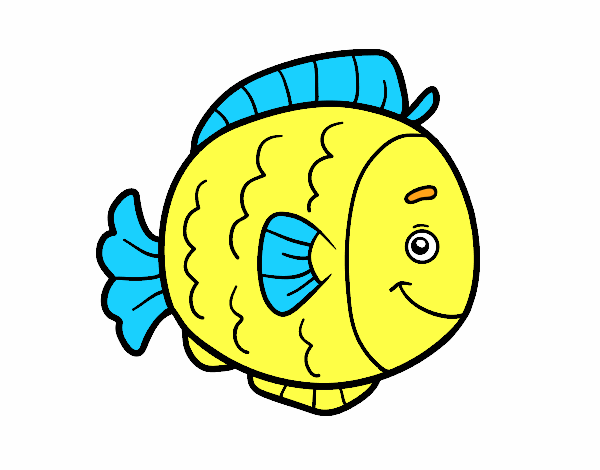 fish