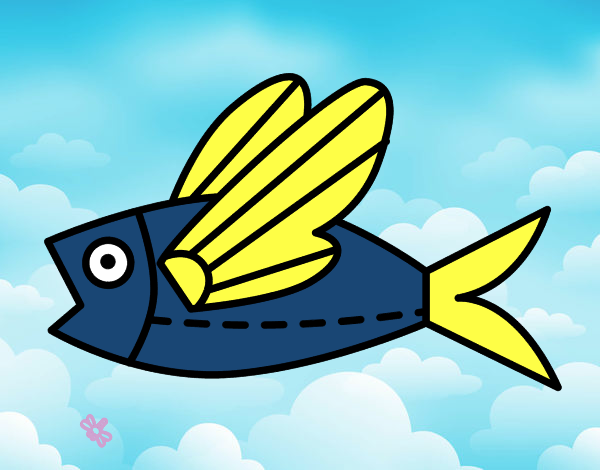 fiyngfish