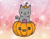 Un gatito de Halloween