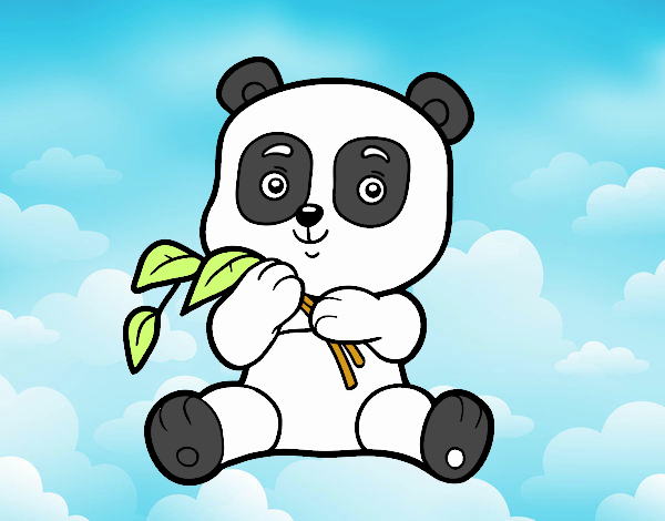 Un oso panda