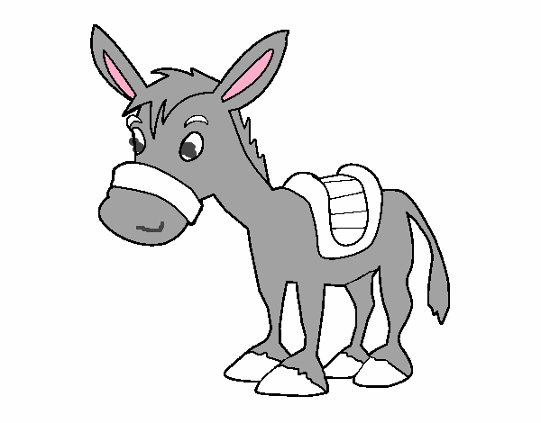 Burro de granja