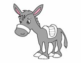 Burro de granja