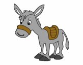 Burro de granja