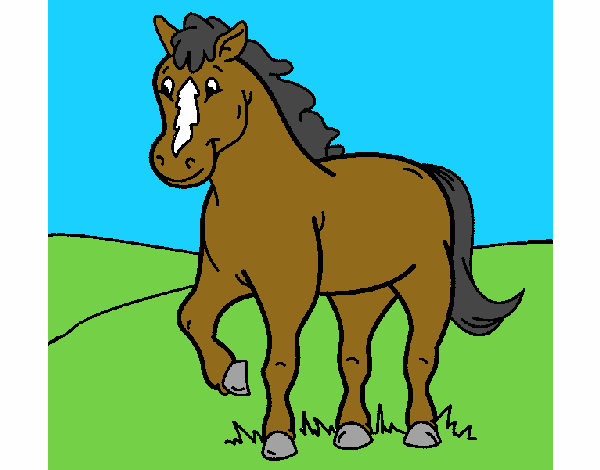 Caballo 4