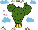 Cactus nopal