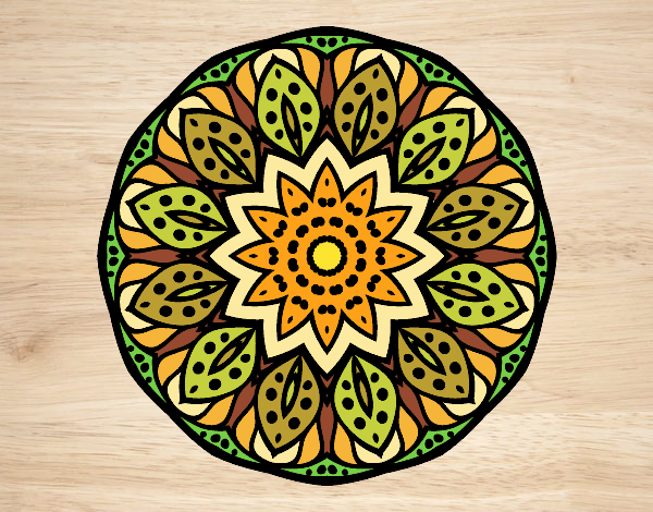 Mandala naturaleza