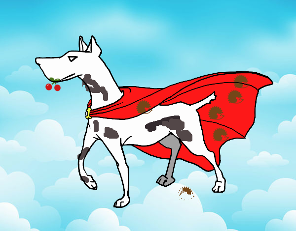 Perro superhéroe