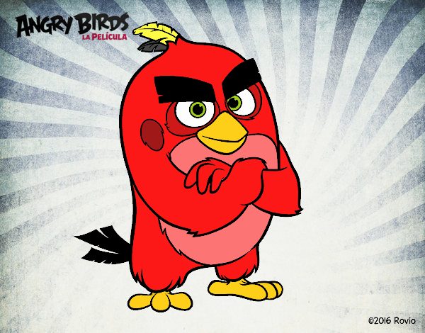 Red de Angry Birds