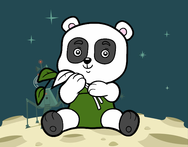 Un oso panda