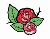 Dos rosas