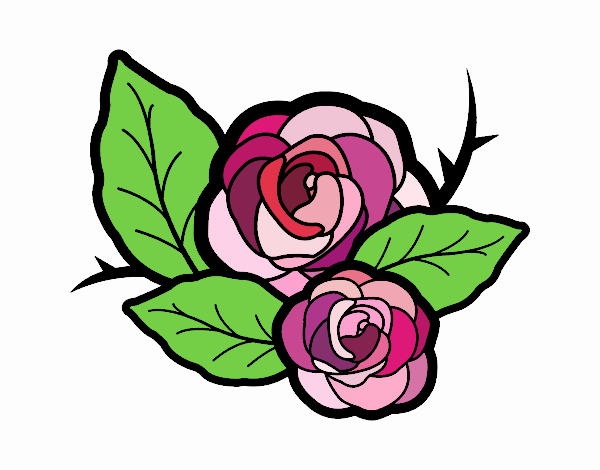 Dos rosas