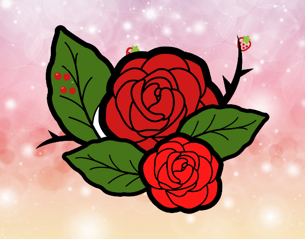 Dos rosas