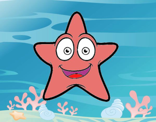 Estrella de mar sonriente