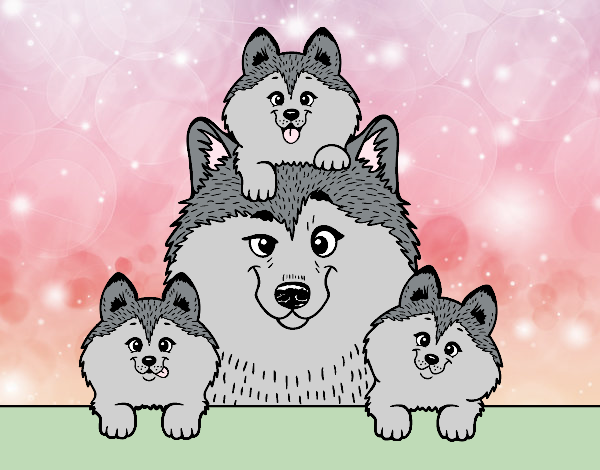 ¡¡¡¡¡¡¡¡¡¡ ¡¡¡¡¡¡¡¡¡¡ ¡¡¡¡¡¡¡¡¡¡ ¡¡¡¡¡¡¡¡¡¡ ¡familia husky!!!!!!!!!!!!!!! !!!!!!!!!!!!!!!!!!!! !!!!!!!!!!!!!!!!!!!! !!!!!!!!!!!!!!!!!