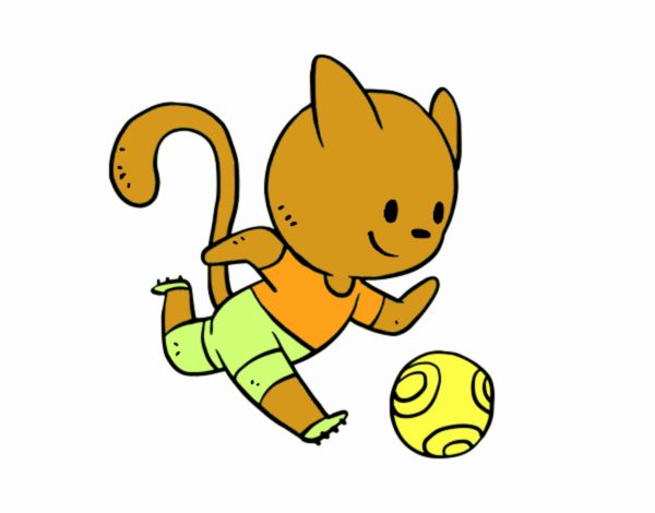 Gato jugando a fútbol