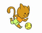 Gato jugando a fútbol