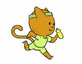 Gato runner