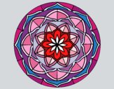 Mandala 6