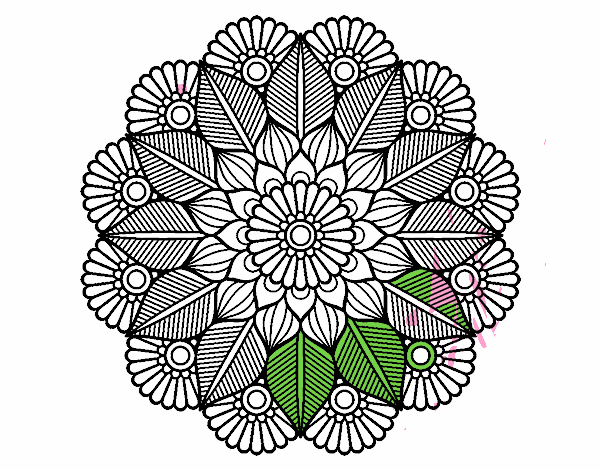 Mandala jardín vegetal