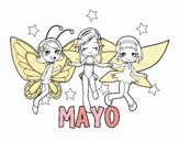 Mayo