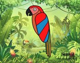 Pájaro Guacamayo