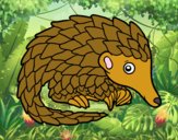 Pangolin