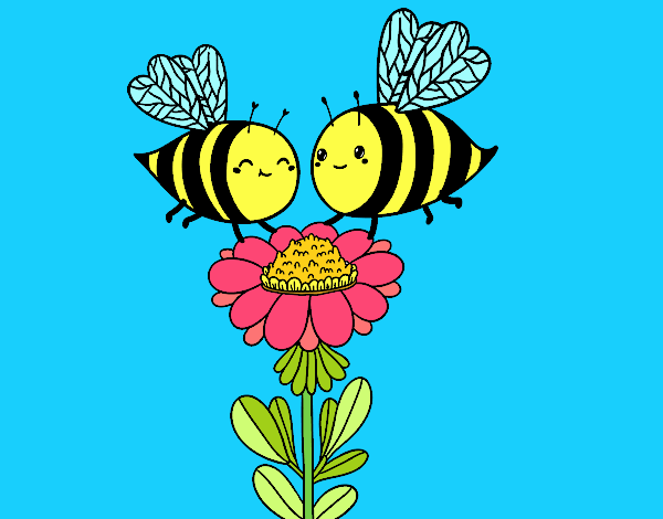 Pareja de abejas